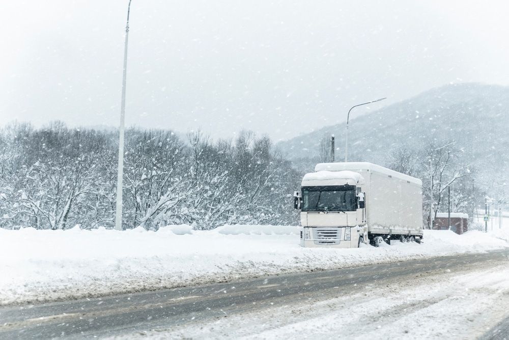 Image - this image does not have an alt text, please let me know.